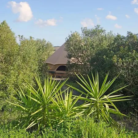 Tranquilo Glamping Осанехос