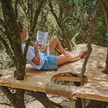 Campsite Tranquilo Glamping