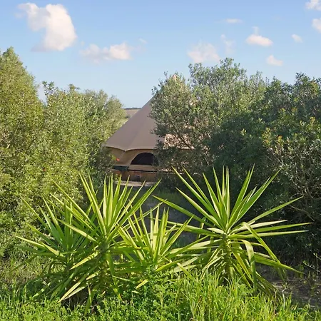 Campsite Tranquilo Glamping *