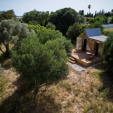 Campsite Tranquilo Glamping