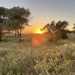 Tranquilo Glamping * Hozanejos