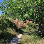 Tranquilo Glamping Κάμπινγκ Hozanejos