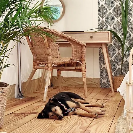 Tranquilo Glamping Kemp Hozanejos