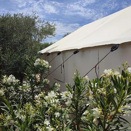 Tranquilo Glamping Kemp