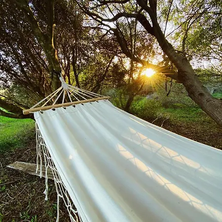 Tranquilo Glamping Hozanejos